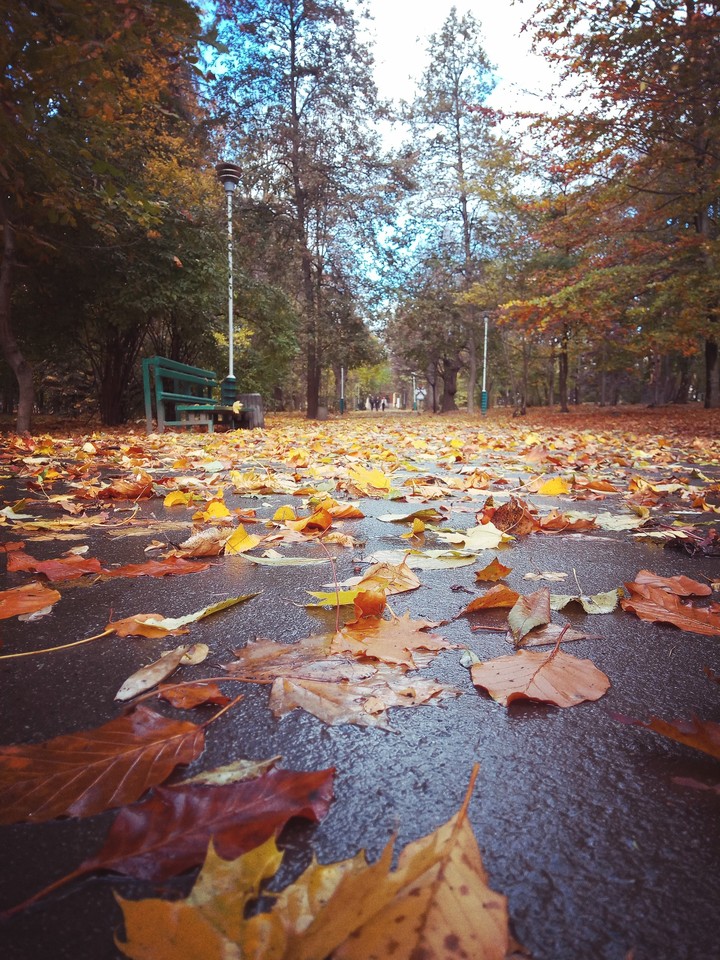 Fall