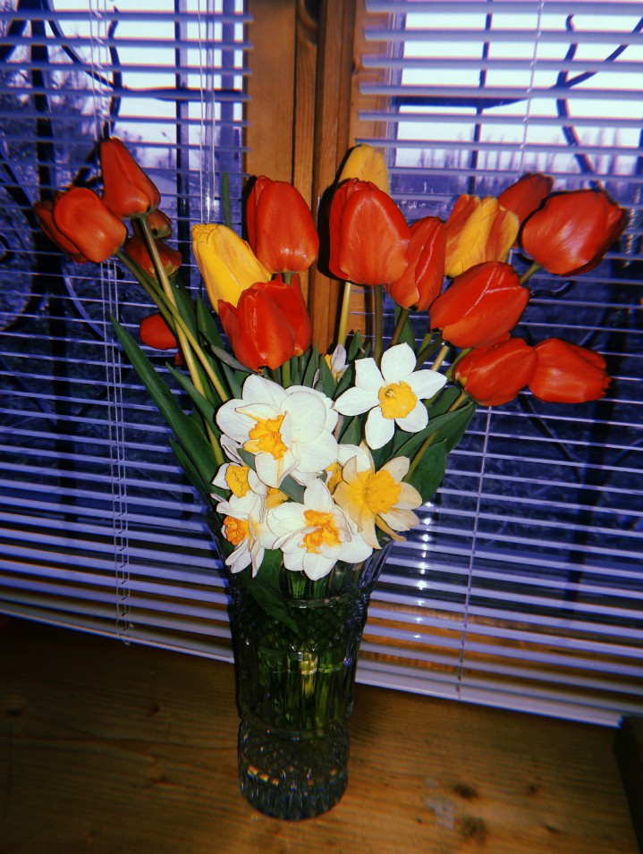 spring's beauty