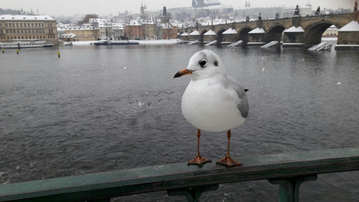 Prague, Czech Republic
