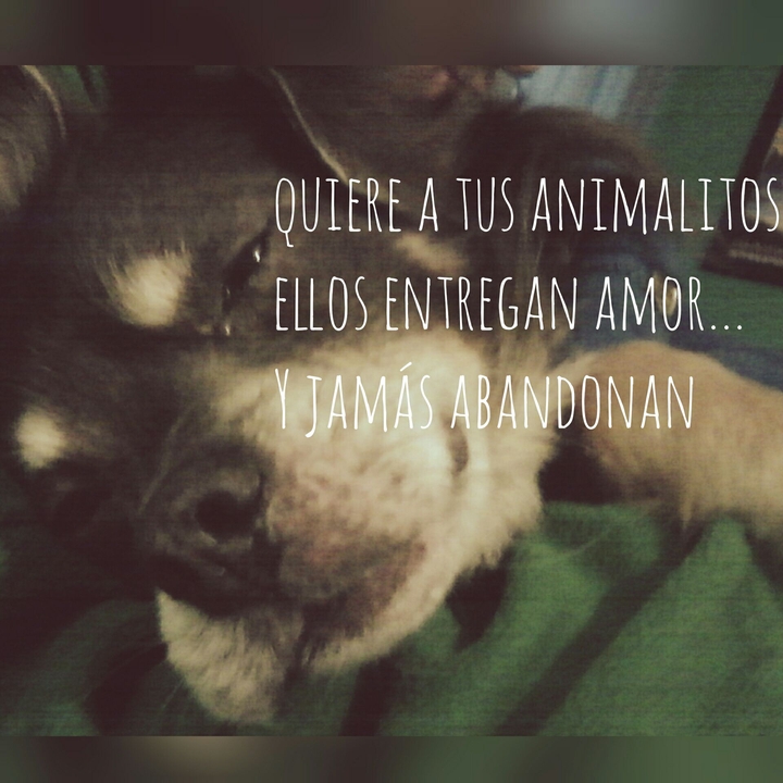 amor incondicional