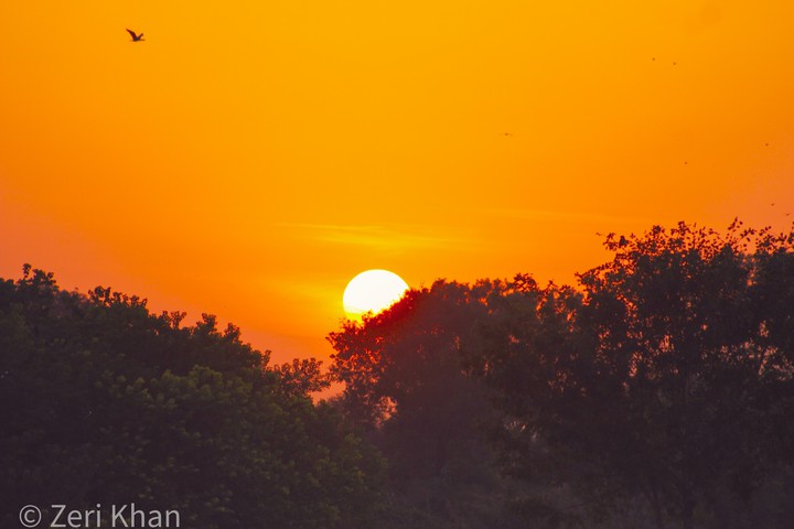 ? Sunset