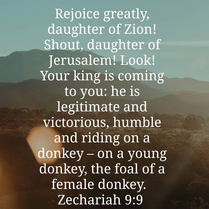 Zechariah 9:9