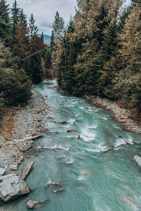 stream, Water Hintergrundbilder