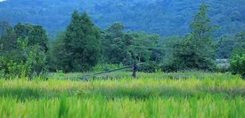 green place