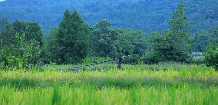 green place
