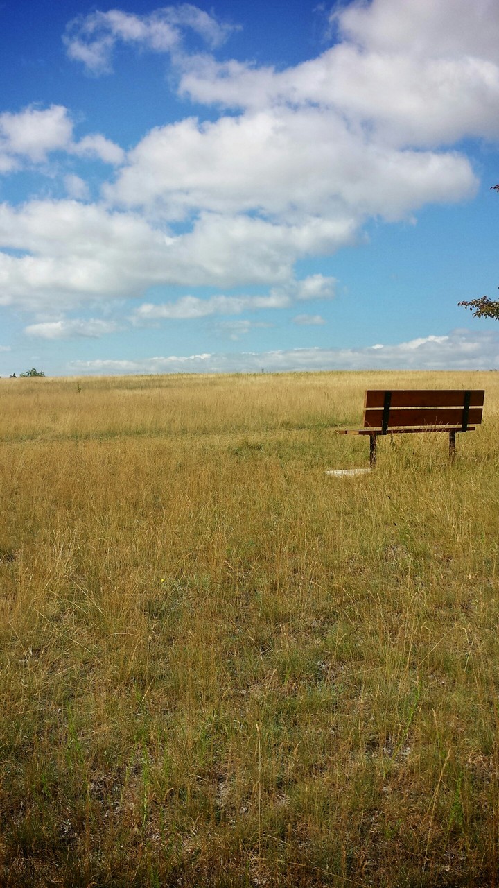 Bench