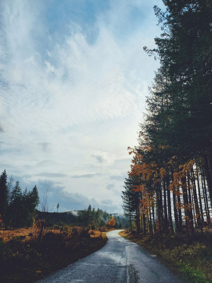 drive in Fall