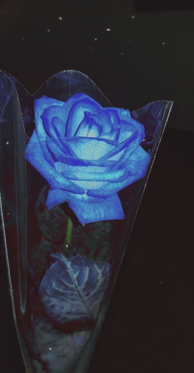 blue