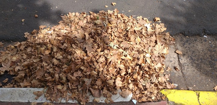 Otoño