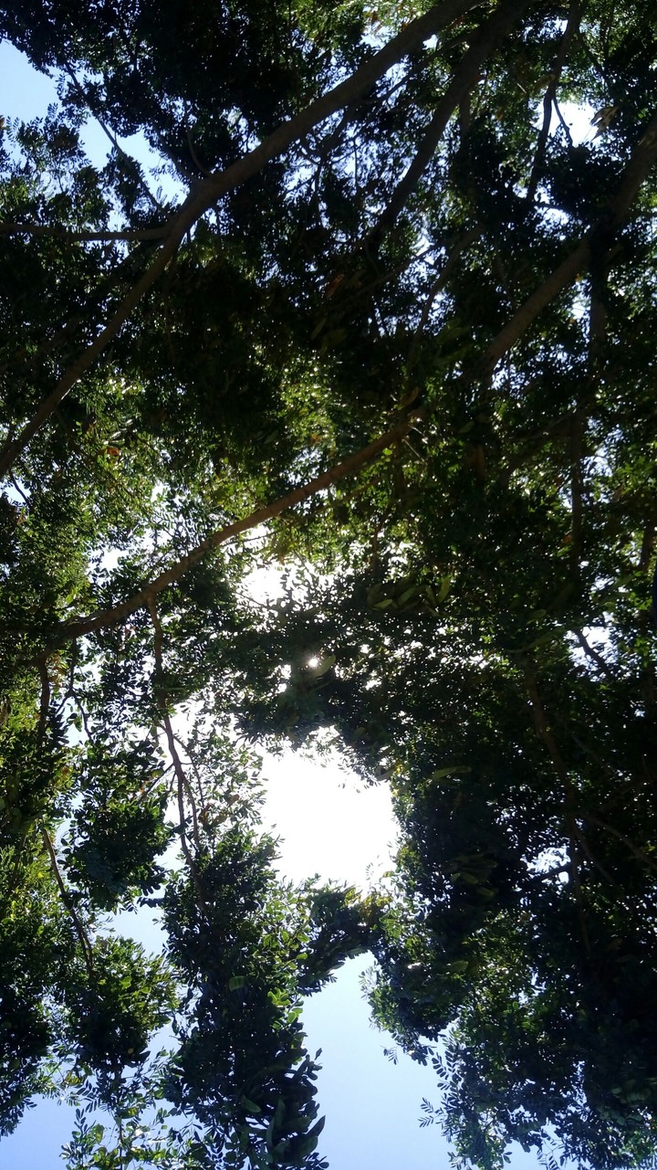 nature