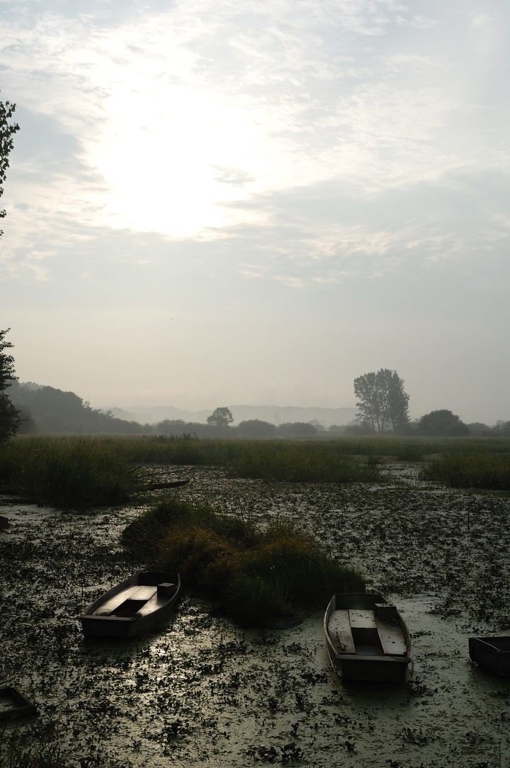 Narrow Boat