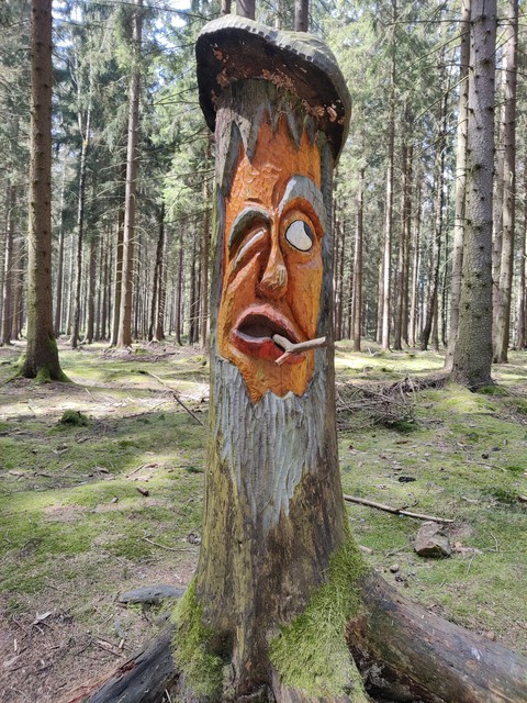 тапети plant, Totem