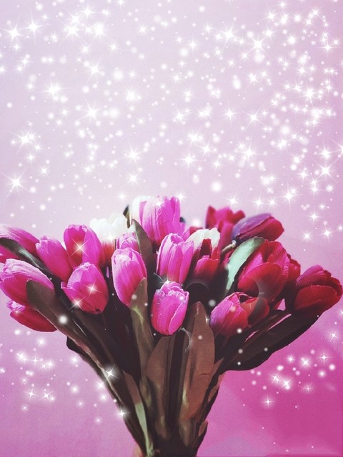 Tulpen