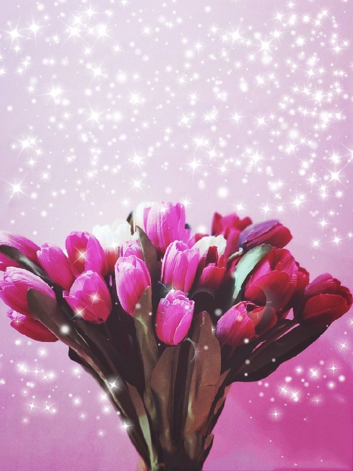 Tulpen