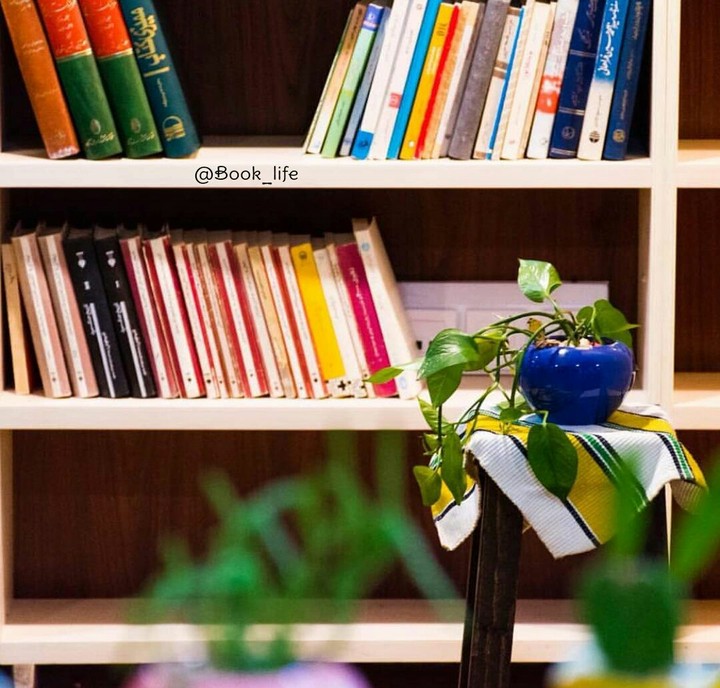 my lovely bookshef