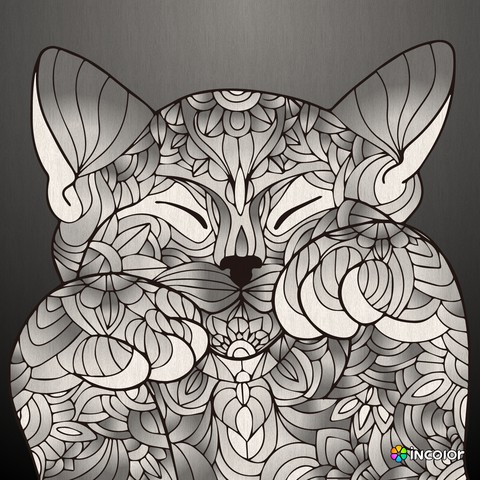 Emma's cat