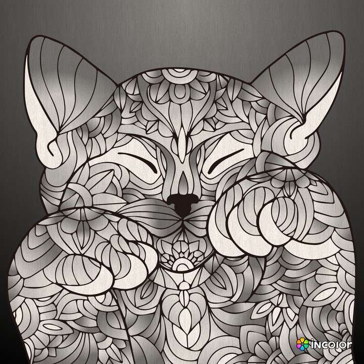 Emma's cat