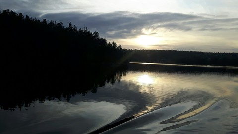Silence