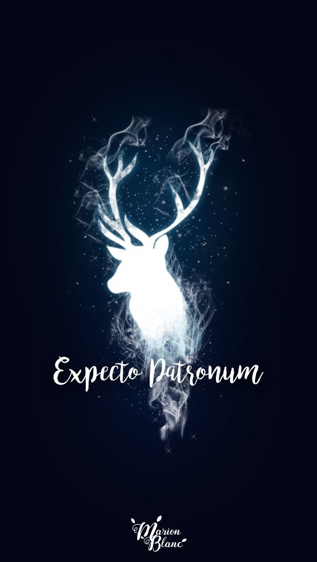 Harry Potter #6