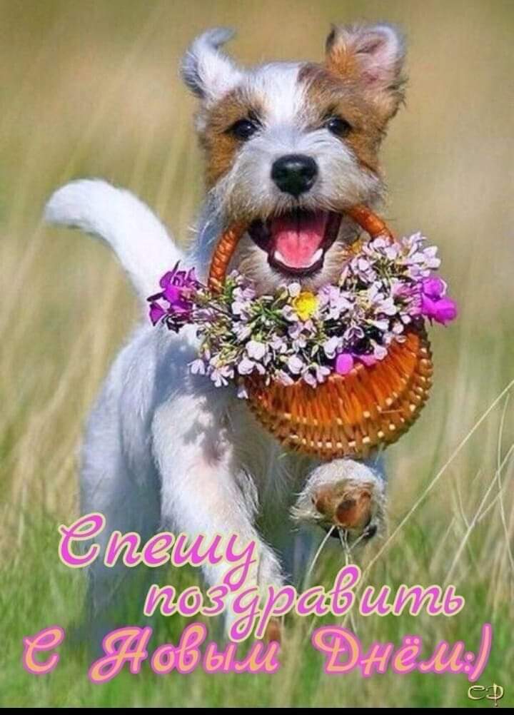 всех!