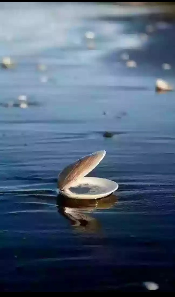 ؟