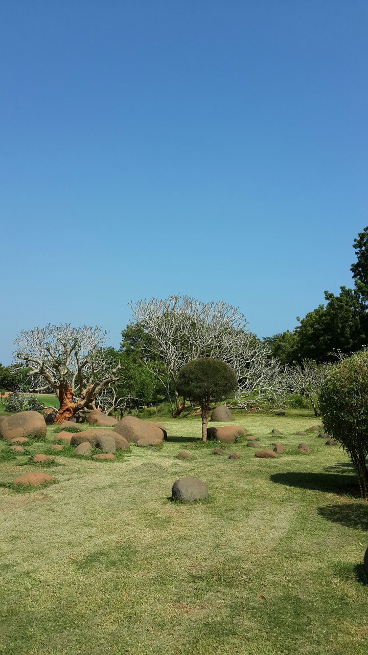 Landscape