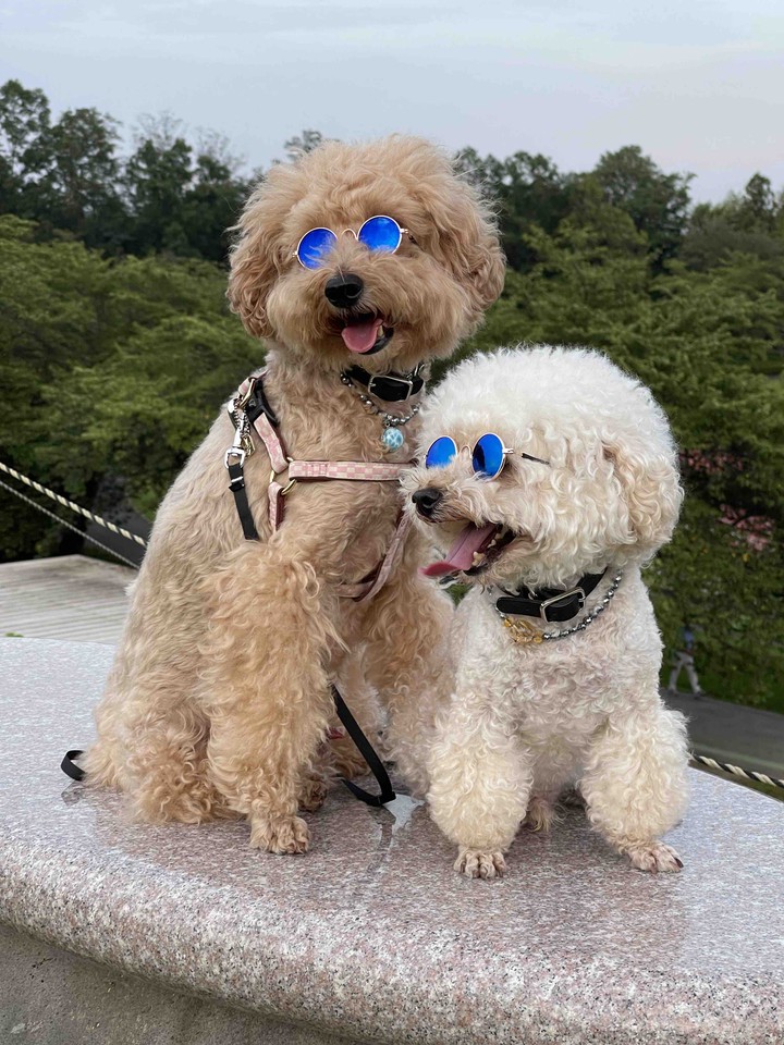 Lucky & Money