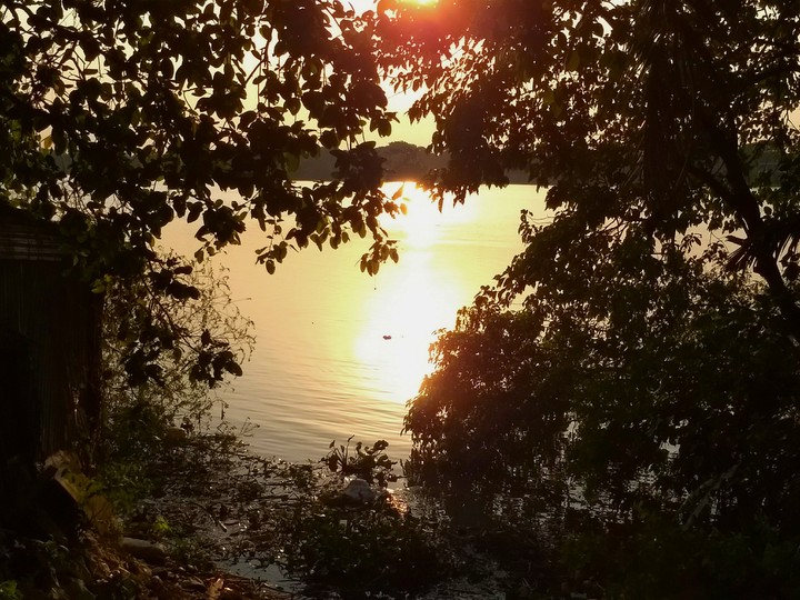 Sun in the Shadows of life