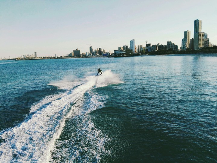 freedom
