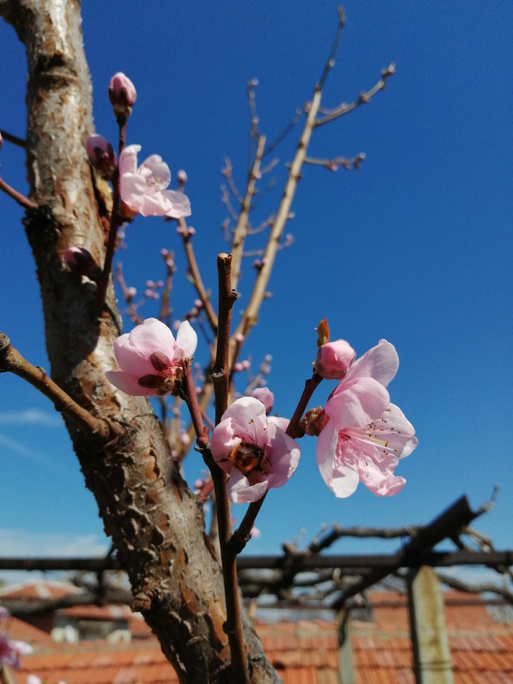 #springtime