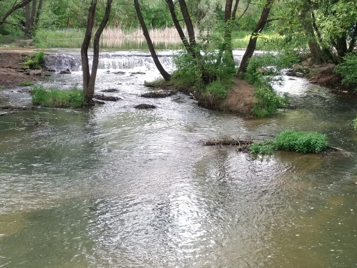 Bilous river