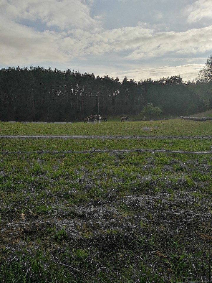 piękny widok