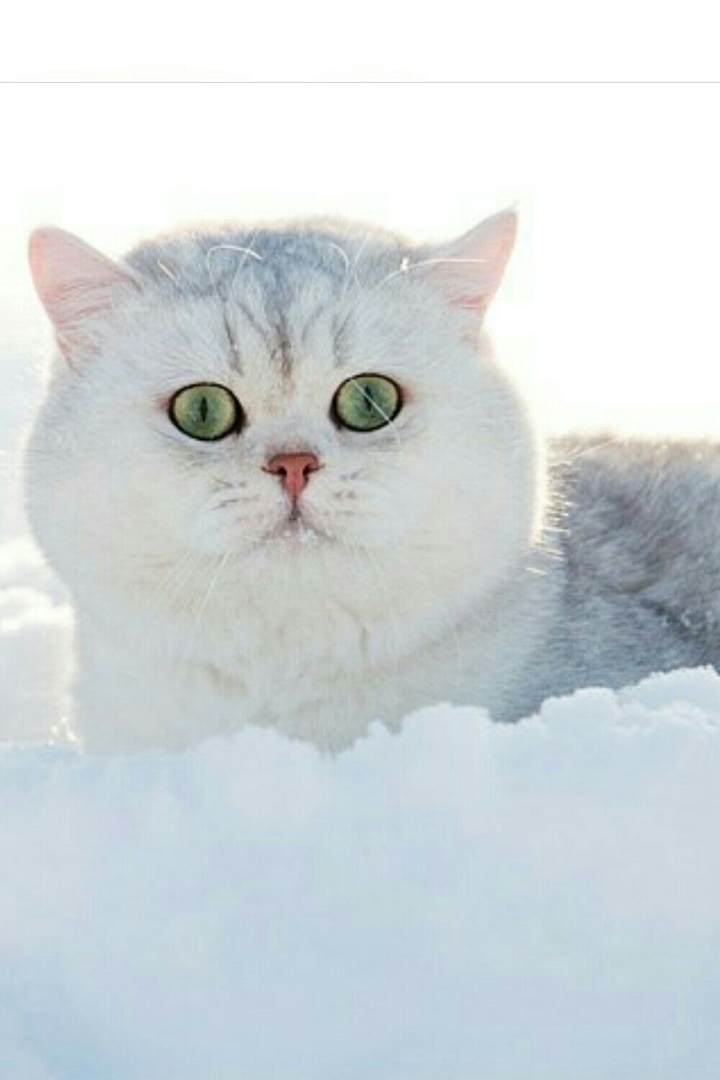 =)