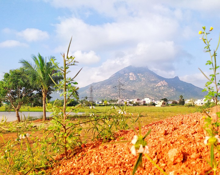 Tiruvannamalai
