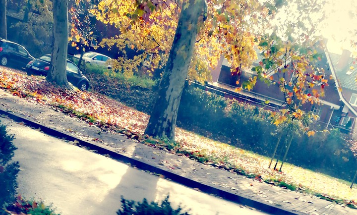 Herbst