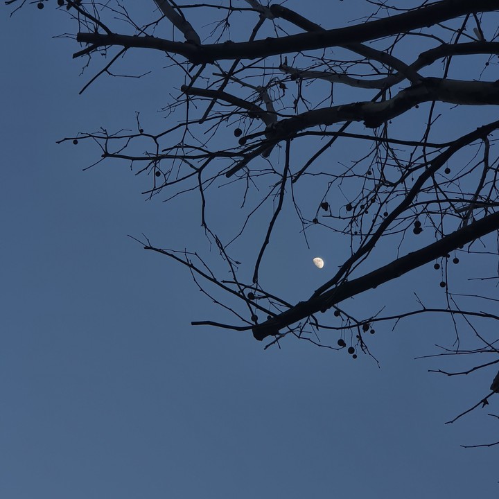Midnight blue