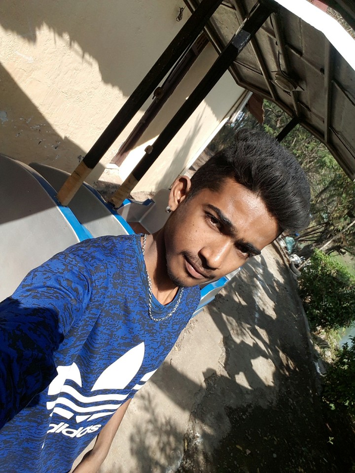Sarfe Alam