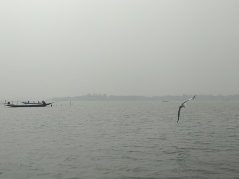 Let fly away