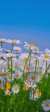 Nature.
