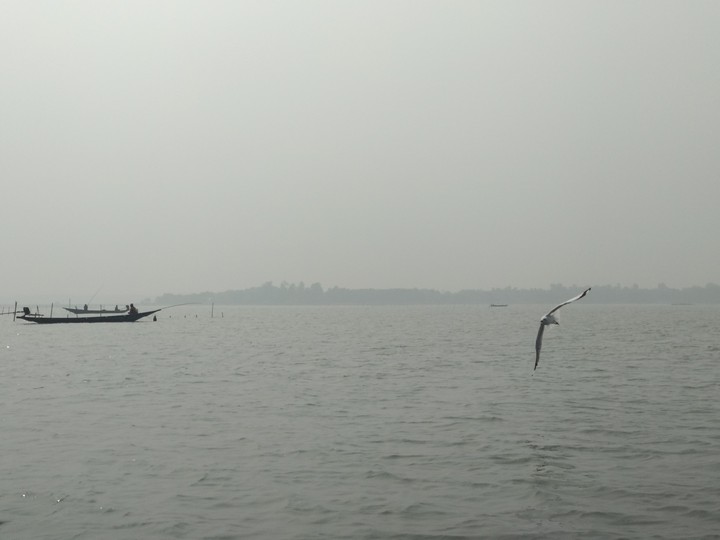 Let fly away