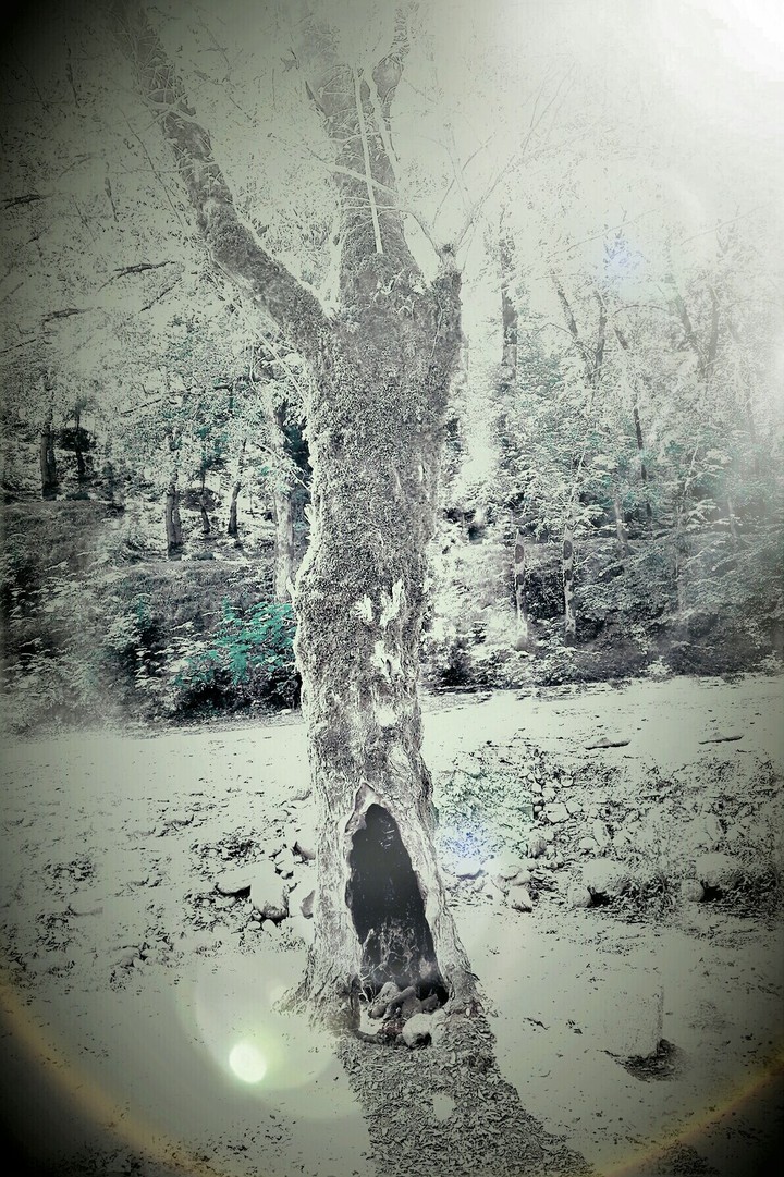 strange