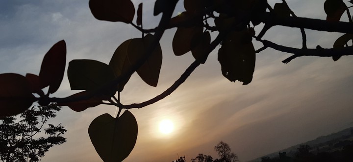 lovely morning