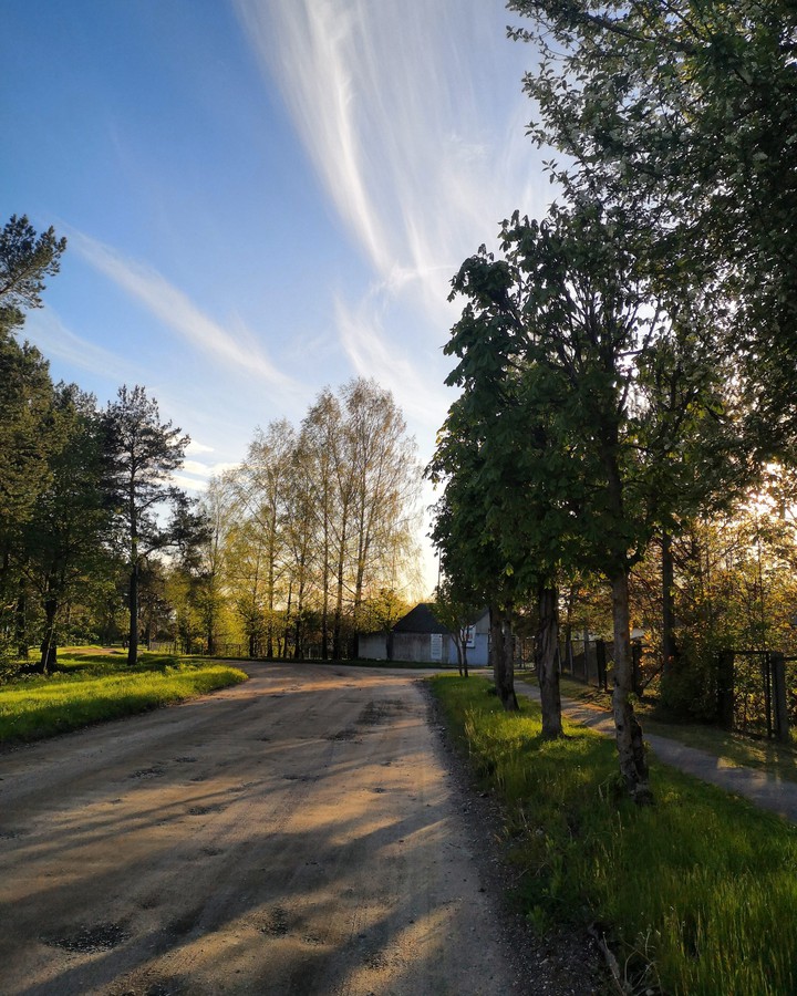 nature