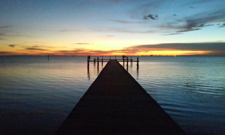 THE DOCK