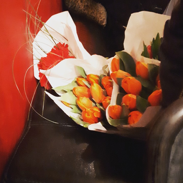 tulipani