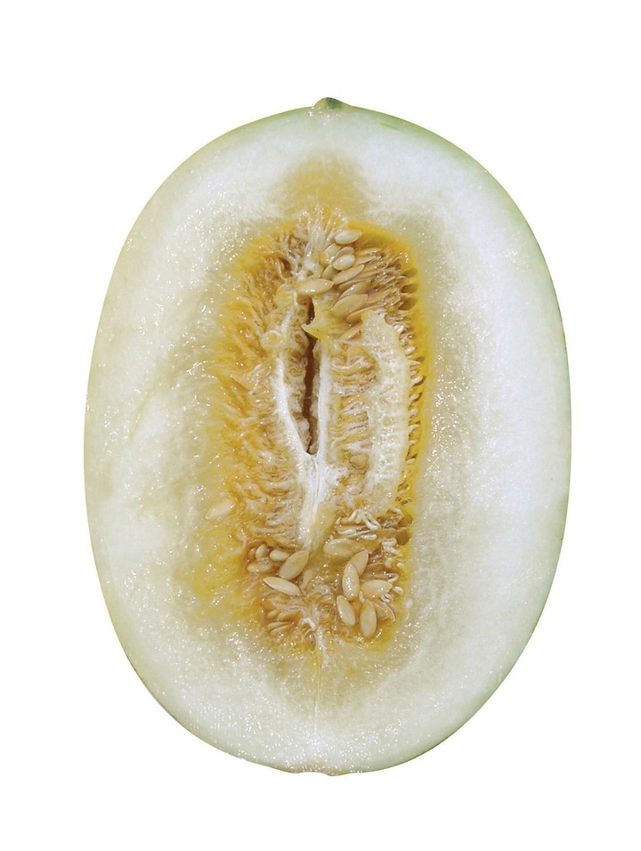 음식이미지