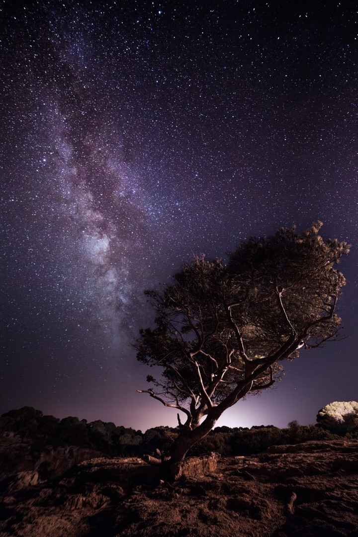 Galaxy