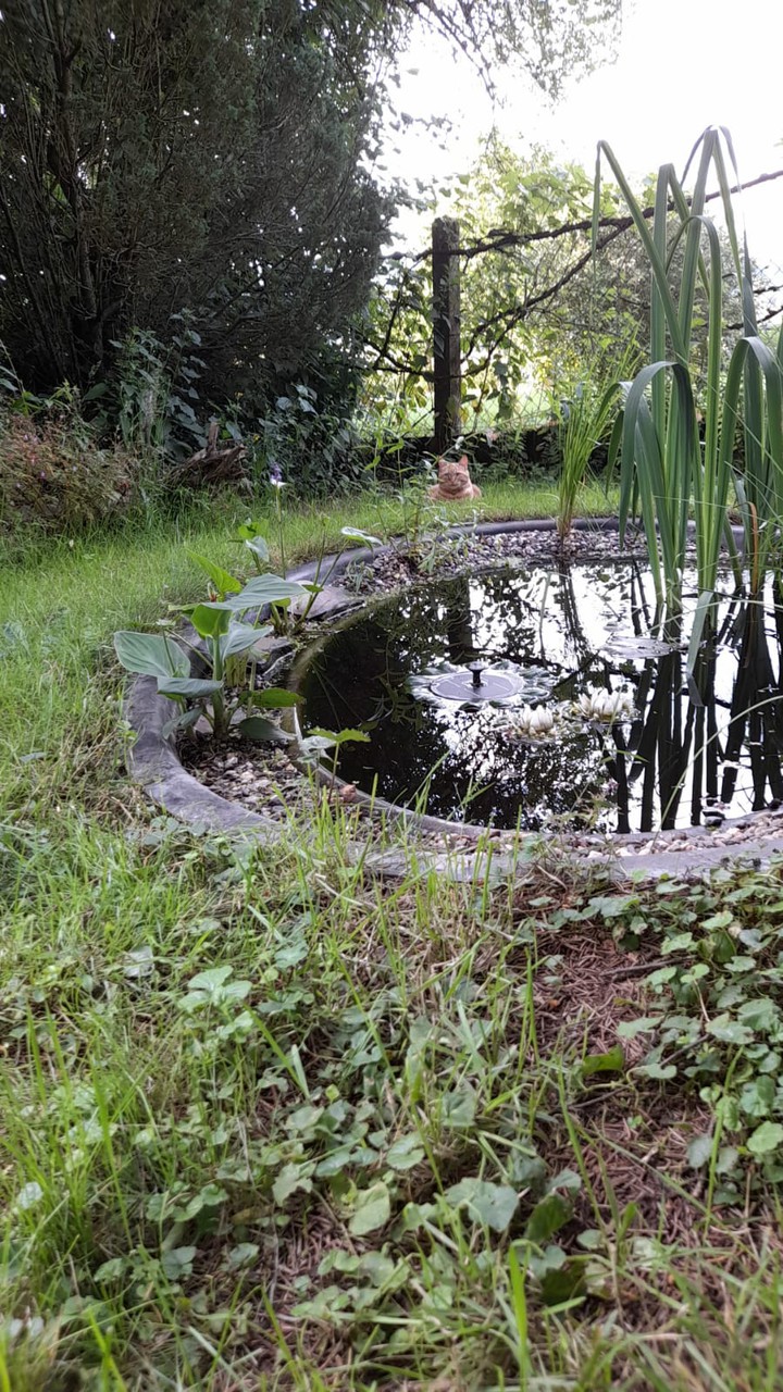 Besuch im Garten