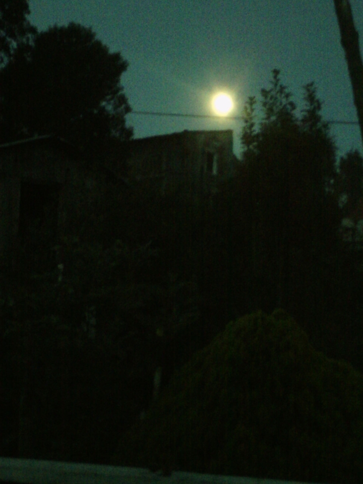 Luna llena
