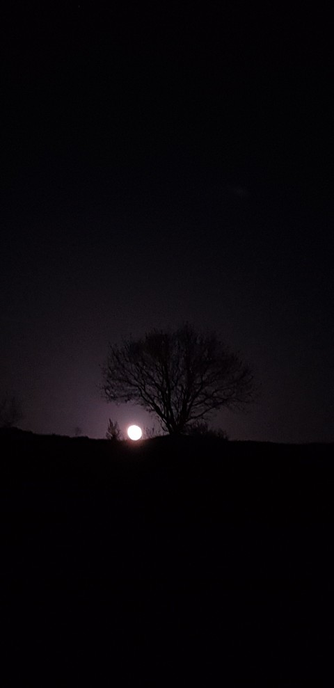 moon